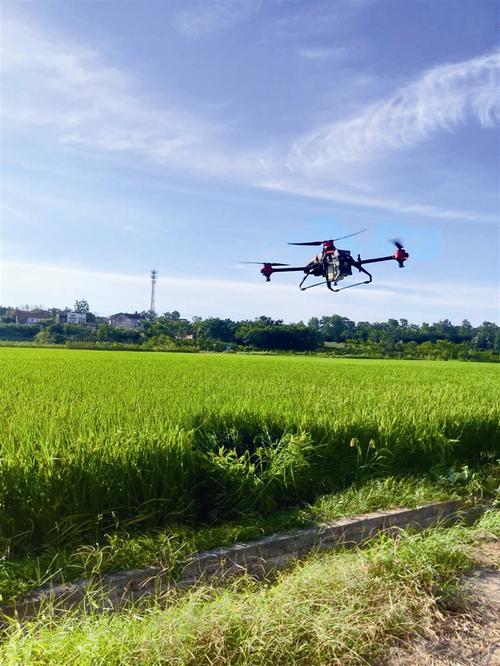 产业强起来 乡村美起来 农民富起来